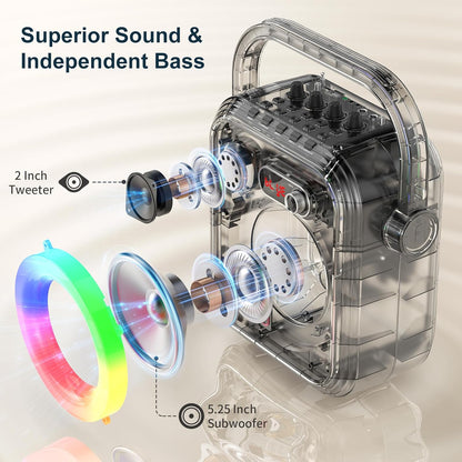 Kit Karaoké (Enceintes & 2 Micros)