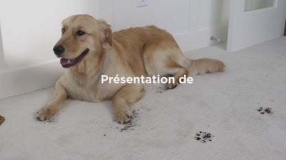 Shampouineuse BISSELL